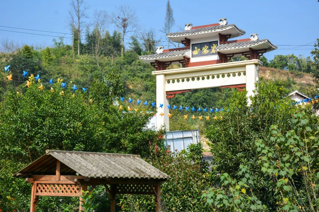 秋意正浓│这个时节去泮水有你未曾领略的惊艳