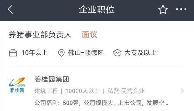 养猪比卖房更赚钱？