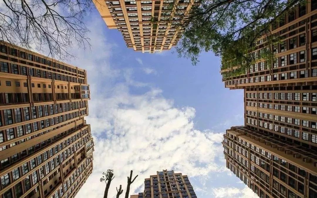 养猪比卖房更赚钱？