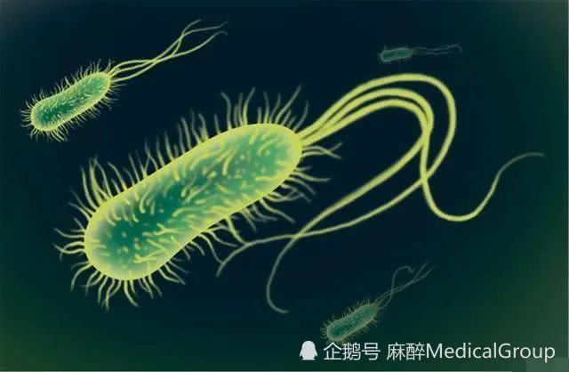 幽门螺杆菌，吹口气就能染上吗？