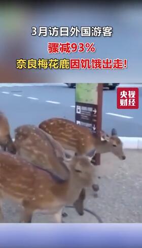 3月访日外国游客骤减93%！奈良梅花鹿因饥饿出走