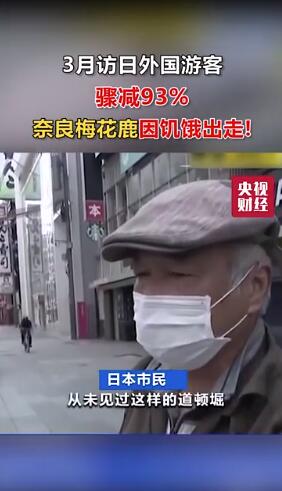 3月访日外国游客骤减93%！奈良梅花鹿因饥饿出走