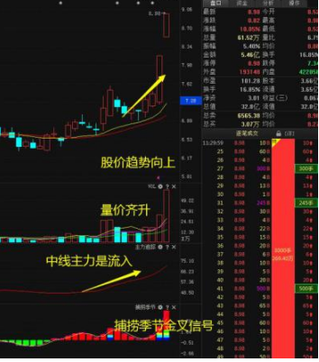 一个“卖辣椒”的故事讲透A股：亏了260万才醒悟