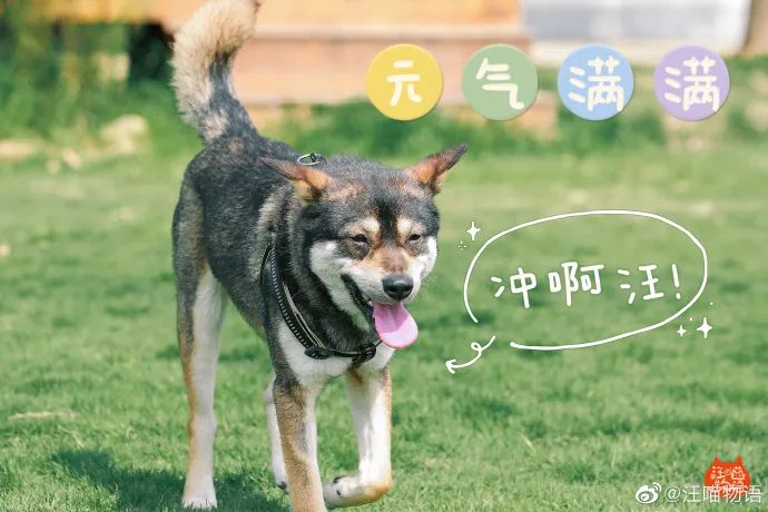 台网综艺独家前瞻｜|大热品类撞题对垒、新品成