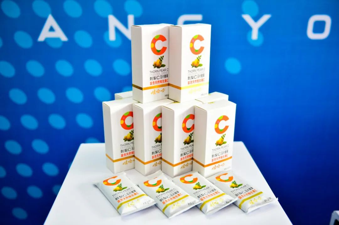 娃哈哈康有利电商平台发布会在杭举行，贴息贷