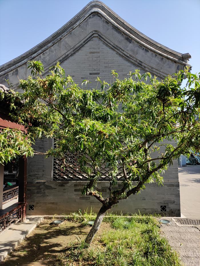 魅族17评测：坚持自我打磨细节的旗舰手机