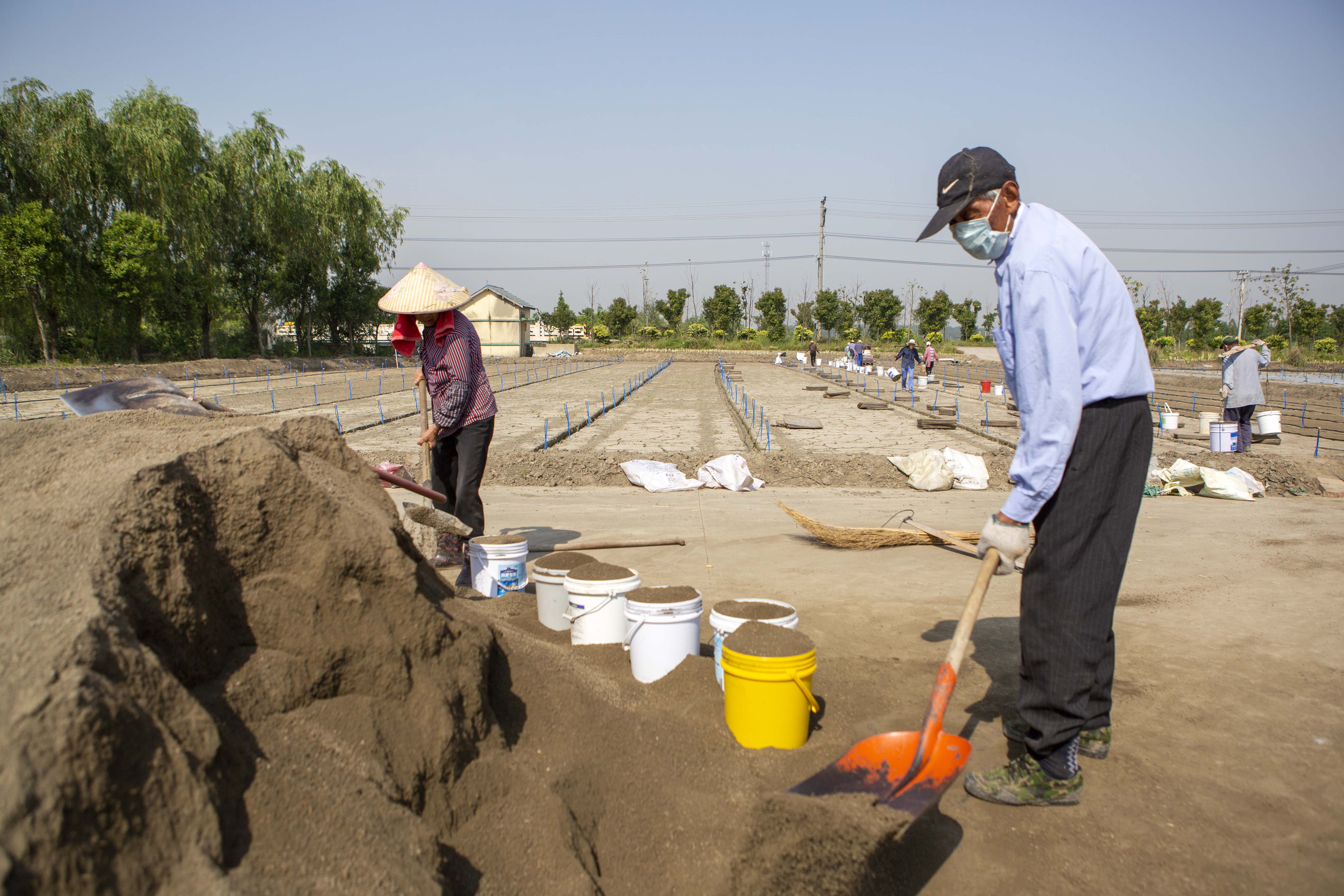 视觉江苏：小满至 泰州农民抓住时令开展农业生