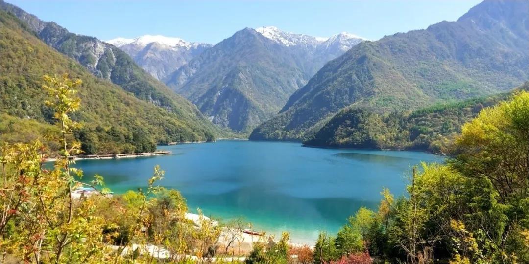 甘肃文县魅力天池文学采风作品选 | 陇上犁：天池：花树的倒影