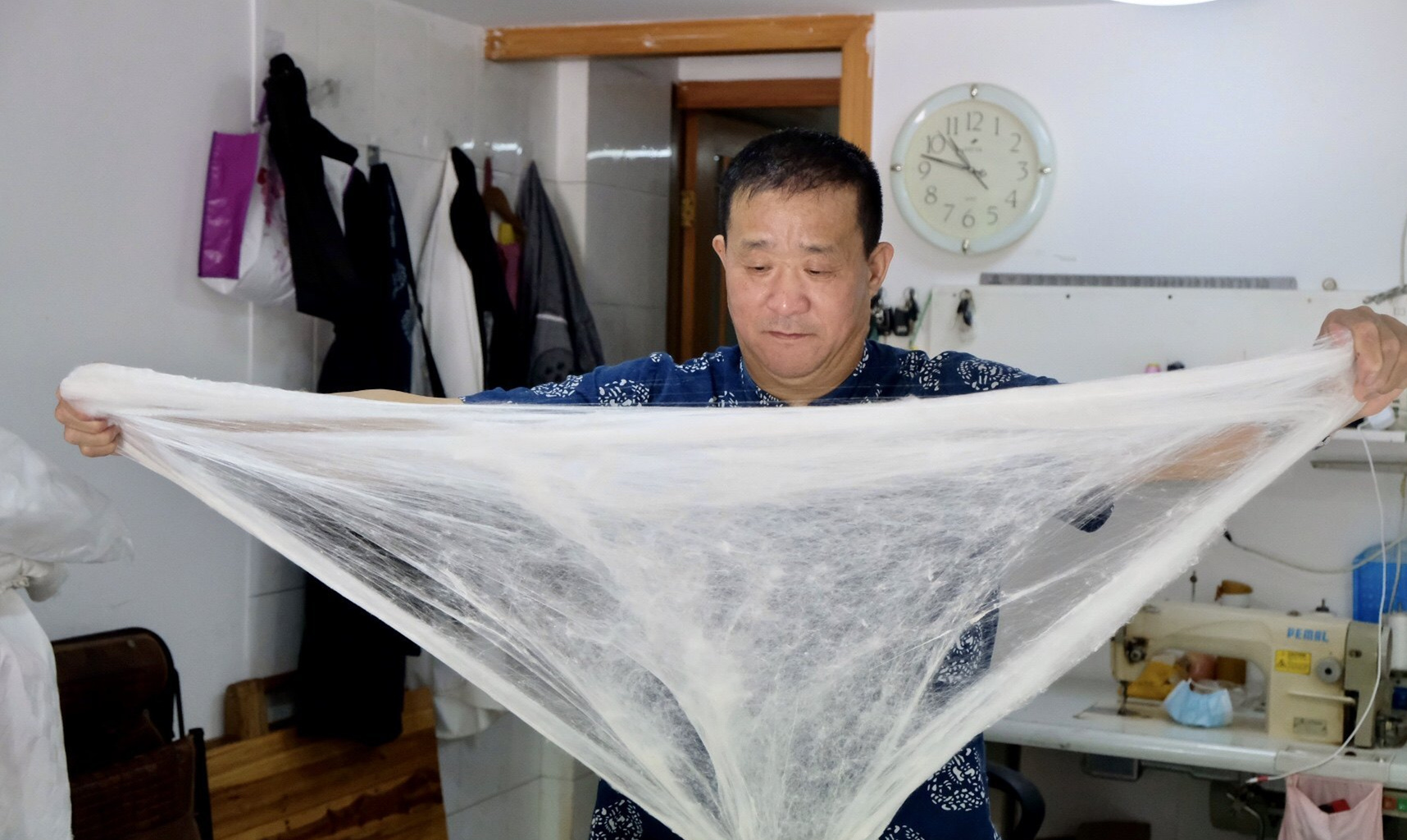 小满节气来了 "桑叶正肥蚕食饱" 从蚕到蚕