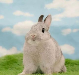 跟着爱豆染头发，如何不变杀马特？