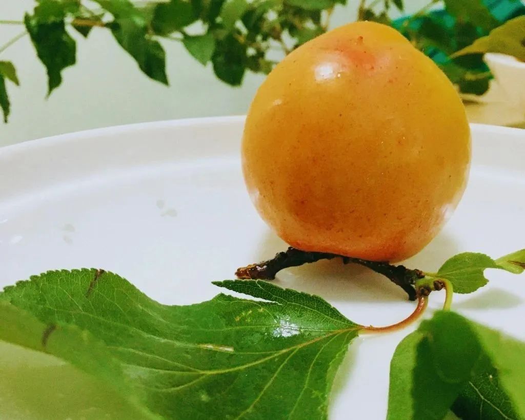 悠悠夏日长，7首诗词感受悠闲夏日-第2张图片-非凡网