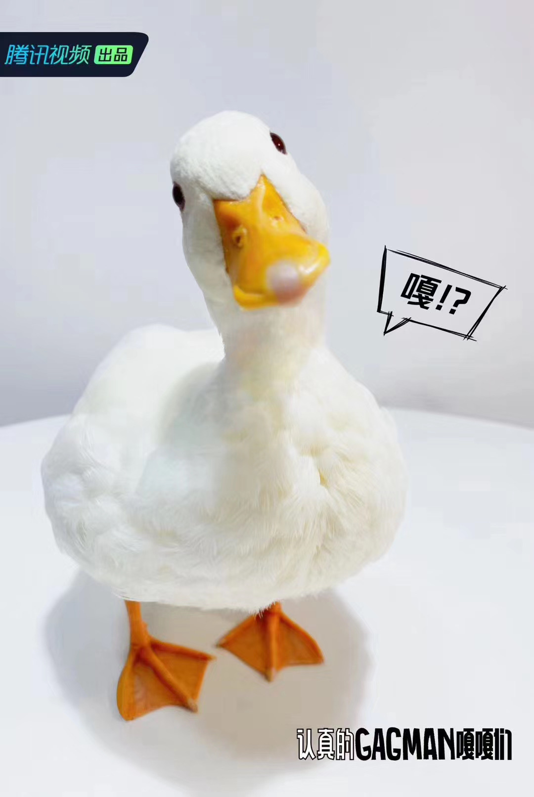 每日视听｜|浙江广电将实控唐德影视，湖南、江