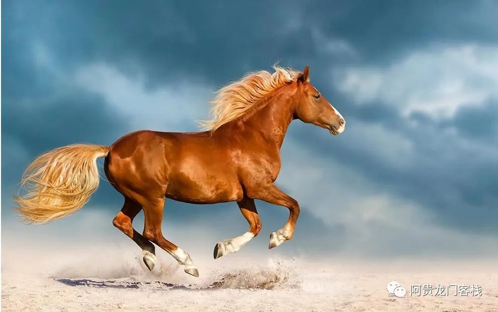 上证50等指数成份股调整的困惑