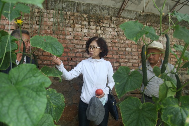 內(nèi)蒙古科協(xié)實(shí)施“智惠行動(dòng)”：把科普課堂搬在田間地頭