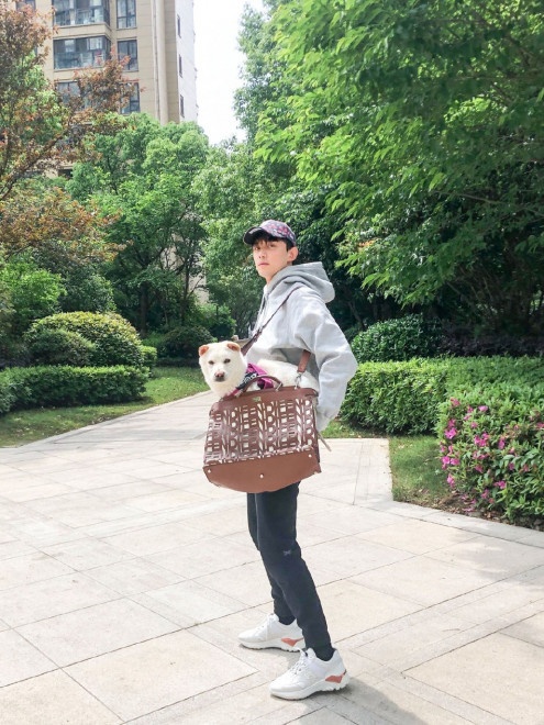 吴磊出门遛狗妙用编织包 秒变爱犬坐骑sense满分