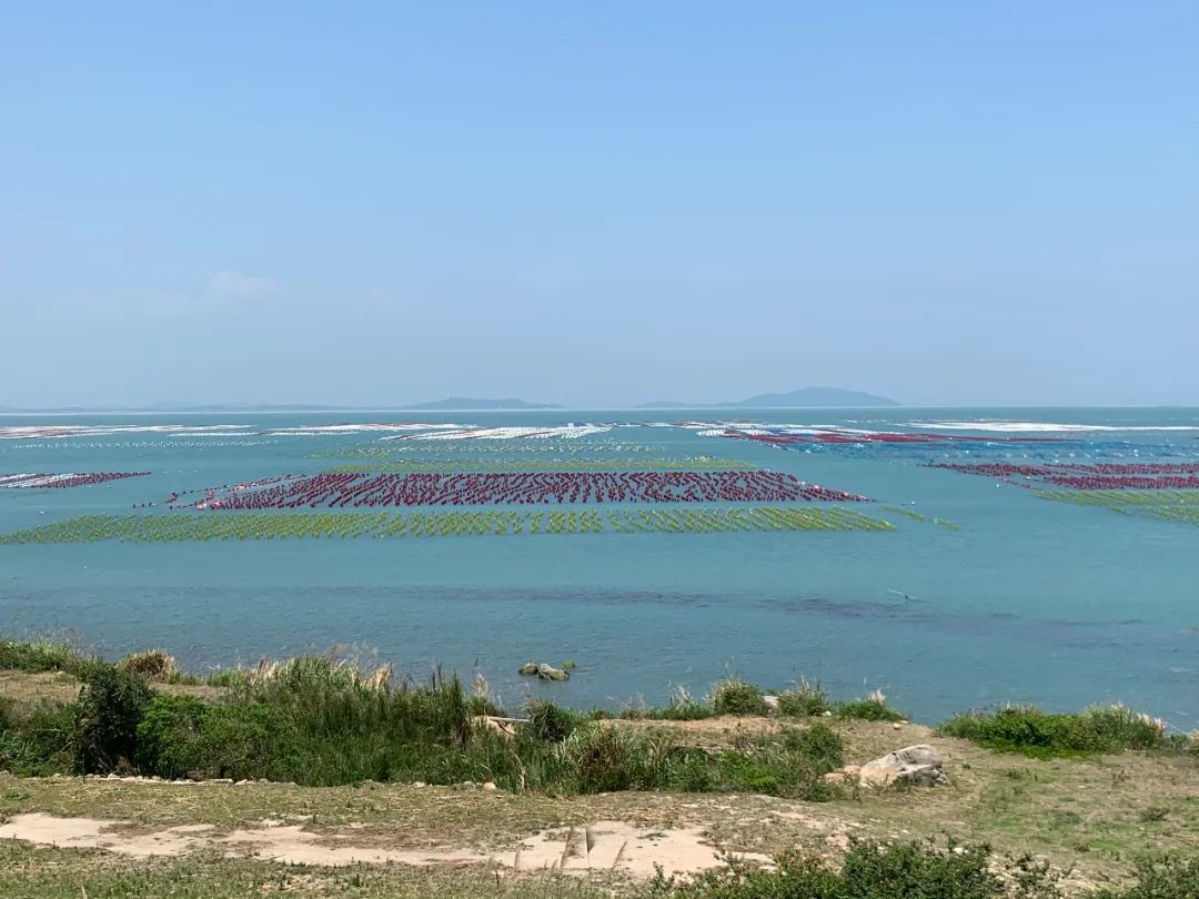 南澳岛游全攻略在这里，端午假期行必看