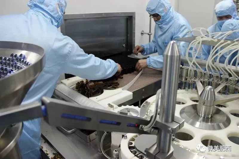 在上海就能注册肥西公司！我县生物医药产业依托长三角G60科创走廊先行突破