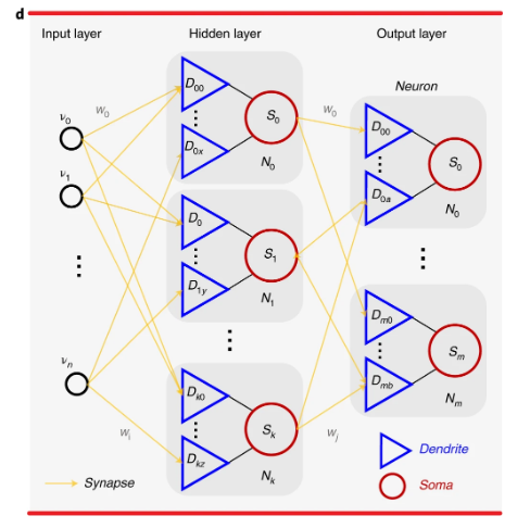 性能大提升！新型 ANN 登上《自然》子刊：清华团