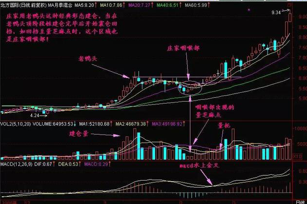 巴菲特点破A股市场：5万小资金想要快速做大，建