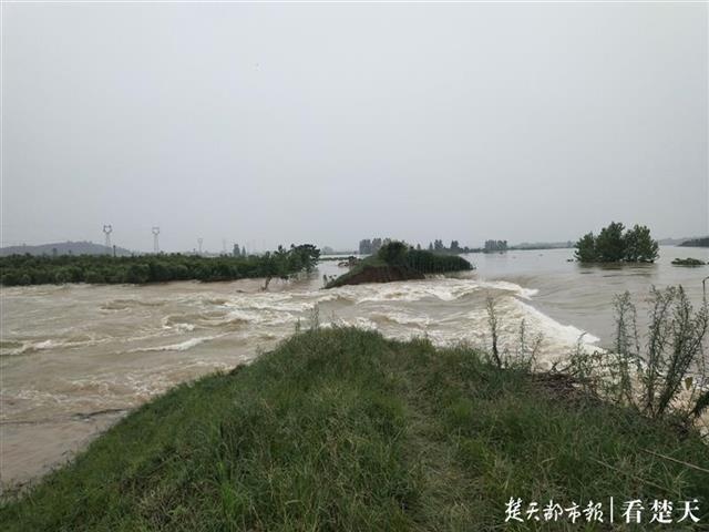 「视频」阳新富水河40多米河坝溃口，下游一农场