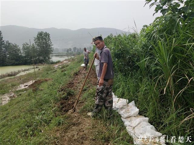 「视频」阳新富水河40多米河坝溃口，下游一农场