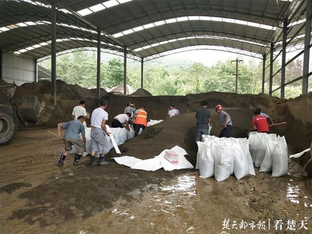 「视频」阳新富水河40多米河坝溃口，下游一农场