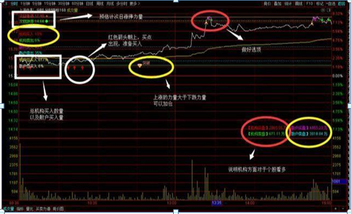 我在3年内把5万本金做到了150万：全靠反复死记“