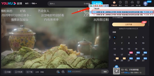 上古下载神器「IDM」：不管是视频还是音乐，想下就下