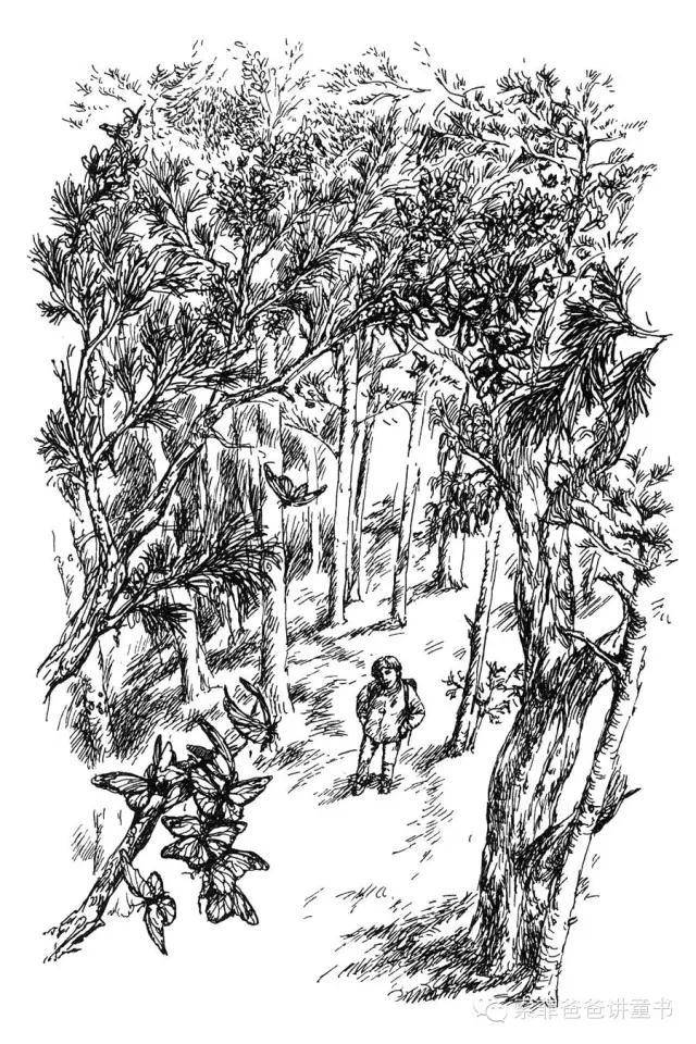 亲悦读丨这本金奖童书不仅教孩子做人，还教孩