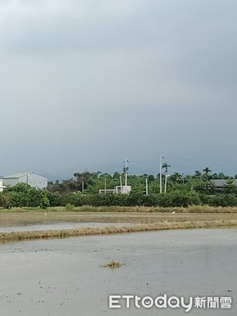 田中间遇“最强钉子户”3颗蛋占地盖屋　他笑笑