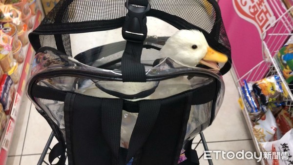 搭捷运耳边传来呱呱声“他低头一见马上融化”