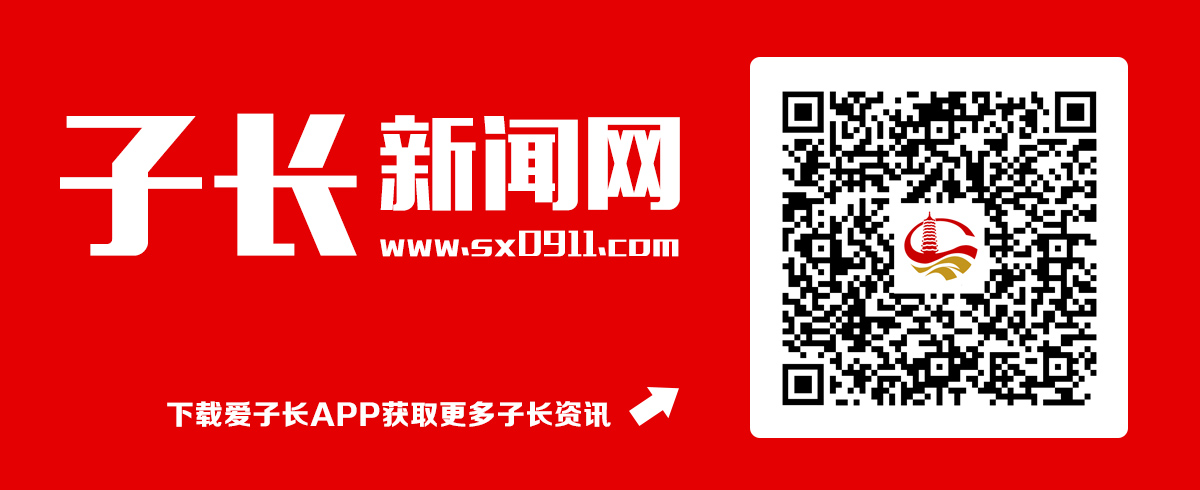 子长市召开创建全国基层中医药工作先进单位评审访谈会