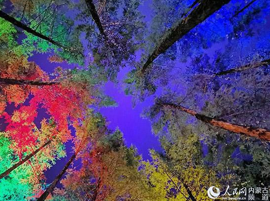 The colorful Inner Mongolia is like a painter overturning the "color palette"