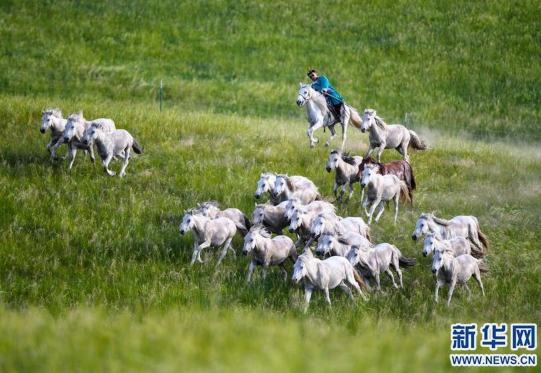 The colorful Inner Mongolia is like a painter overturning the "color palette"