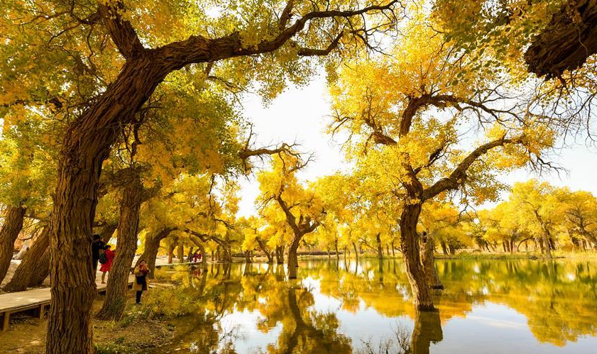 The colorful Inner Mongolia is like a painter overturning the "color palette"