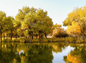 The colorful Inner Mongolia is like a painter overturning the "color palette"