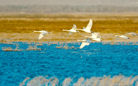 The colorful Inner Mongolia is like a painter overturning the "color palette"