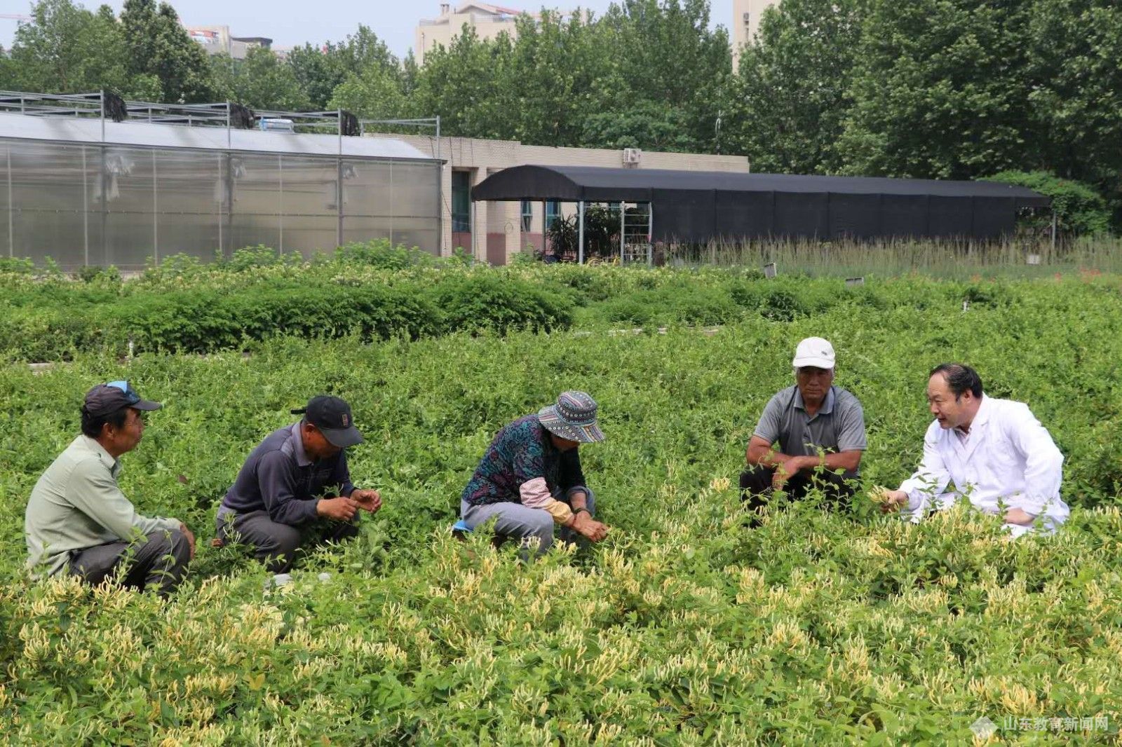 改革攻坚进行时 | 山东中医药大学科研管理体制改革助推高质量发展 打造中医药科技人才战略高地