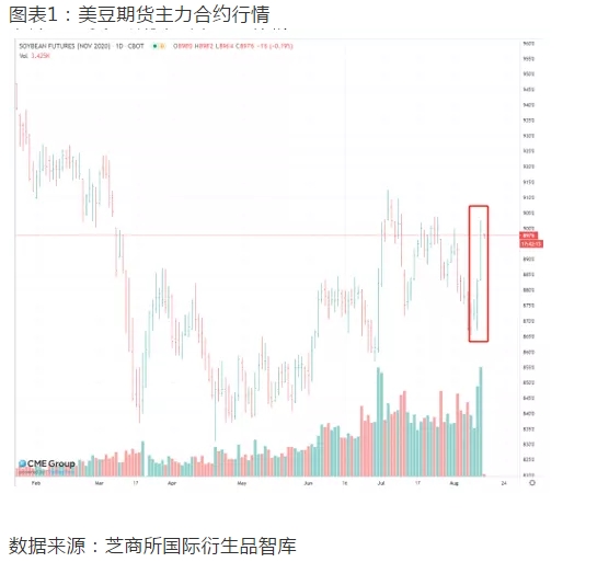 行情难预测？吃下大豆期权“定心丸”