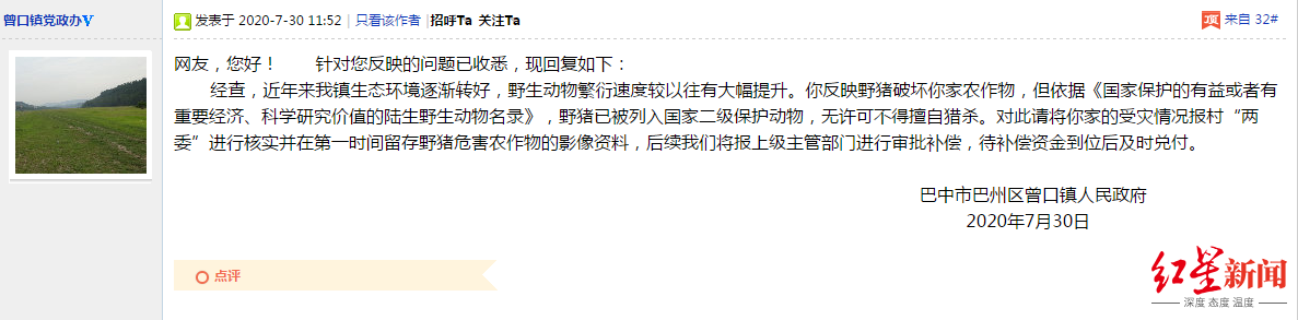 四川巴中山村“野猪成灾”，村民庄稼受损申请补偿遇尴尬 林业部门：没费用安排