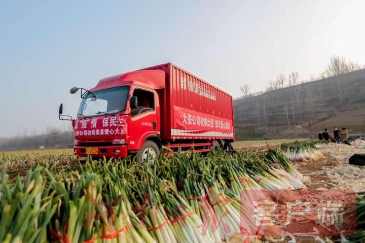 ���ϴ��Ź�˾������Ʈ��ӳ���� �μ�ʹ������������