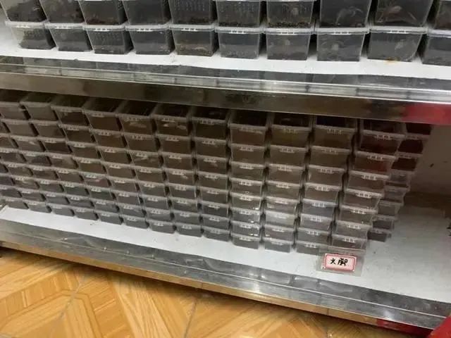 这家粉丝300万，年销售额1000多万的"网店"竟然凉了……