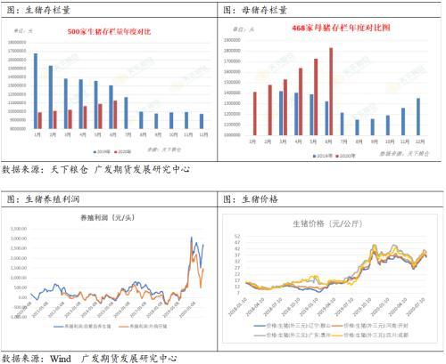 豆粕市场进入调整期 关注中美关系