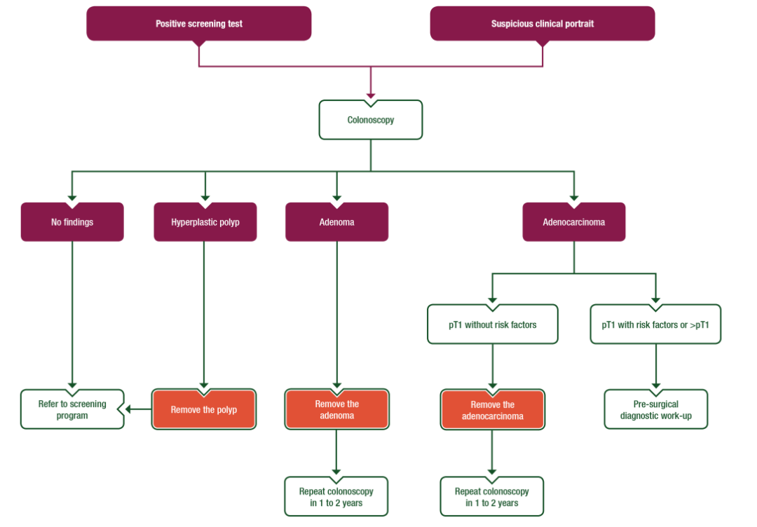 权威再发布！ESMO局部结肠癌临床实践指南8大推荐要点一览