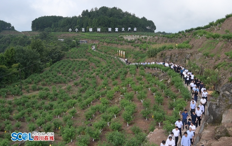 彭清华在全省现代农业园区建设现场会上强调：以现代农业园区建设为重点推进农业农村现代化