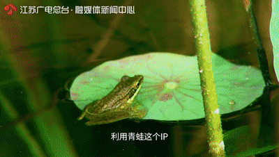 “唐伯虎点秋香”的故事就发生在江苏这座岛上？结局令东说念主唏嘘...