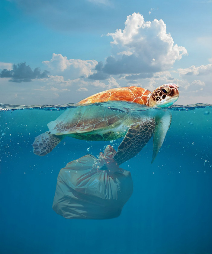 "Ban model to make " photographs of next all living creatures: Have dining room still not know the inside story, 