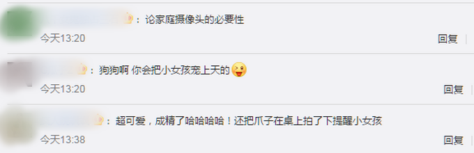 进门|狗子听到家长进门提醒女孩写作业 网友：我爸妈一般摸电视烫不烫