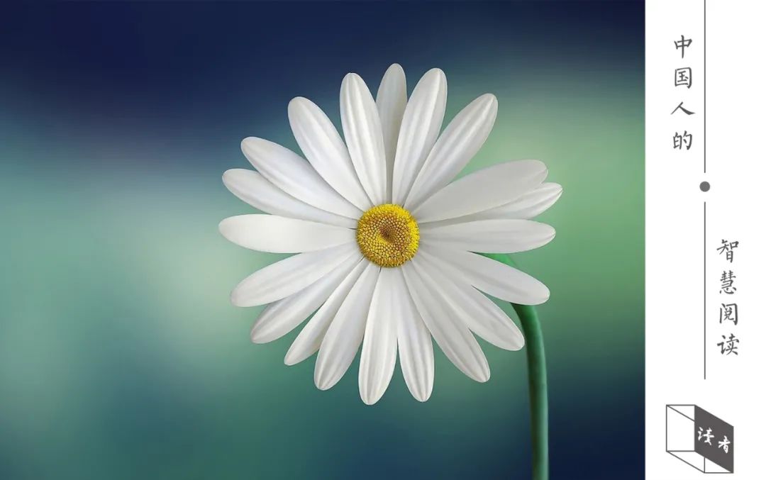 生氣的代價（深度好文）