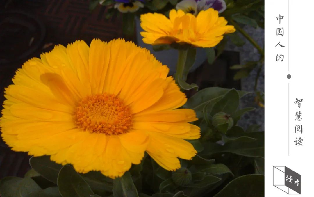 生氣的代價（深度好文）